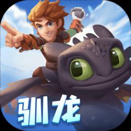 旋转轮胎
